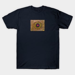 Galaxy Of Consciousness. T-Shirt